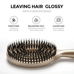 TYMO RootLift Brush